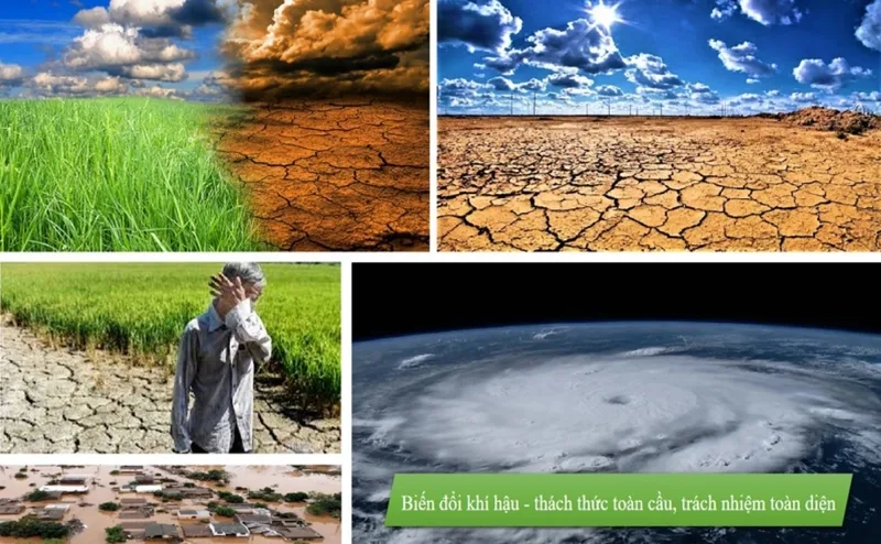 Biến đổi khí hậu là gì? Nguyên nhân và cách ứng phó