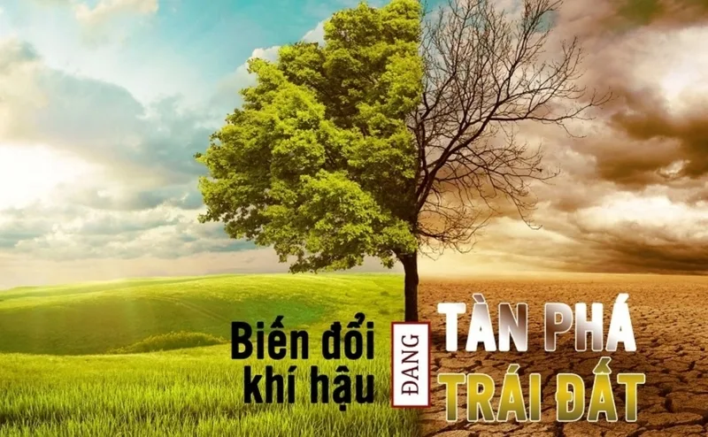 Biến đổi khí hậu là sự thay đổi lâu dài của nhiệt độ, lượng mưa và các hiện tượng thời tiết cực đoan.